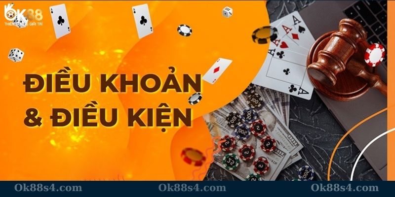 Quyền lợi điều khoản và điều kiện trong bảo mật thông tin