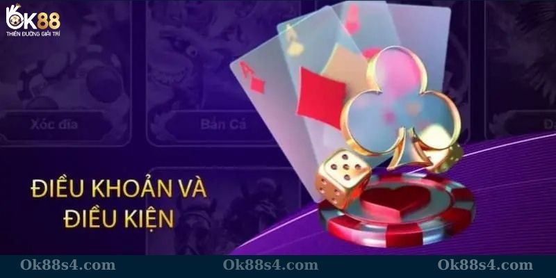 Những điều định về điều khoản và điều kiện tại nhà cái