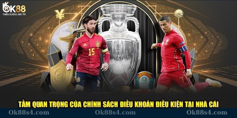 Vai trò quan trọng về điều khoản và điều kiện OK88