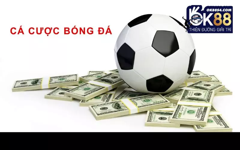Hiểu rõ cách đọc kèo bóng đá giúp bạn đưa ra lựa chọn chính xác thay vì đặt cược theo cảm tính
